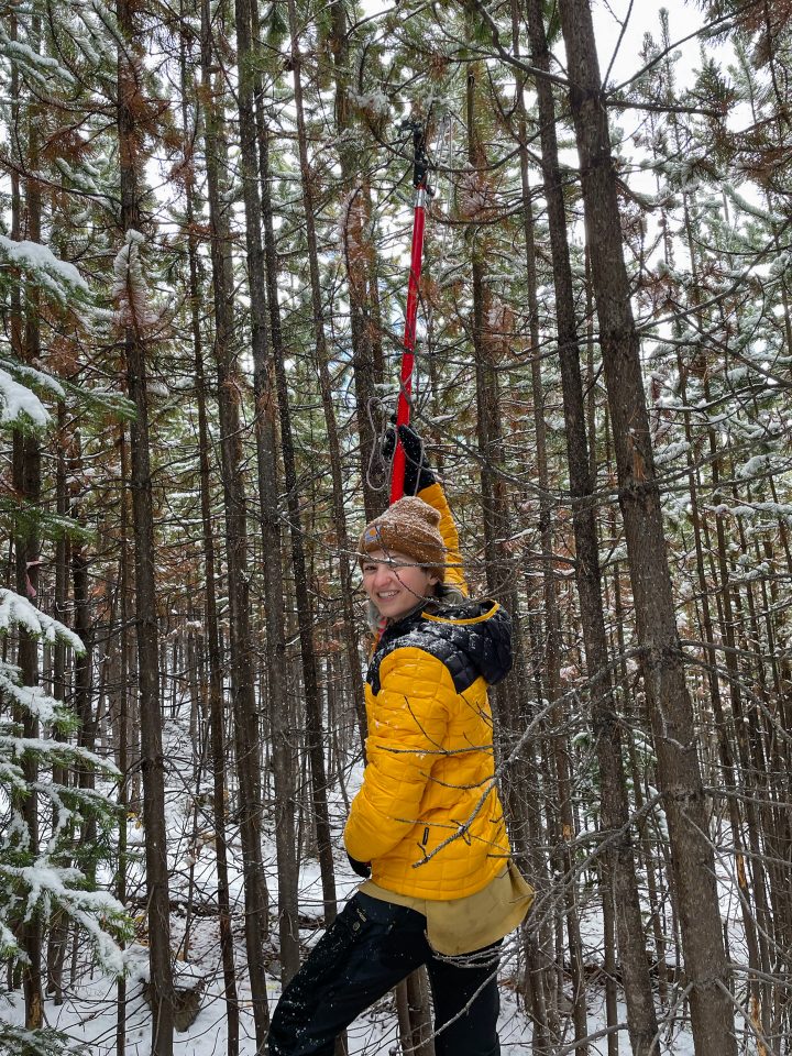 Emory Ellis standing in front of an unthinned stand using a pole to sample tree branches for isotopic signatures